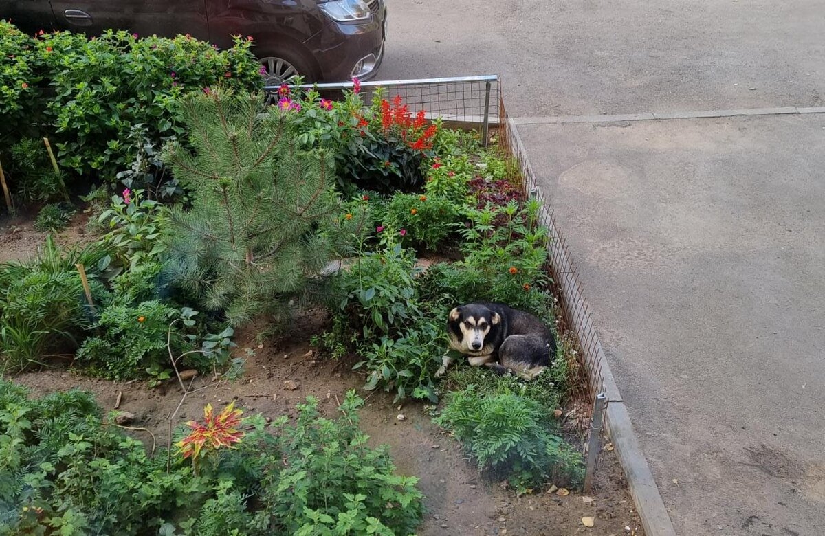 Вот они наши любимчики😊