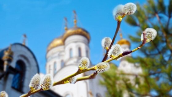 Вербное воскресенье: что нельзя делать 28 апреля - традиции и приметы