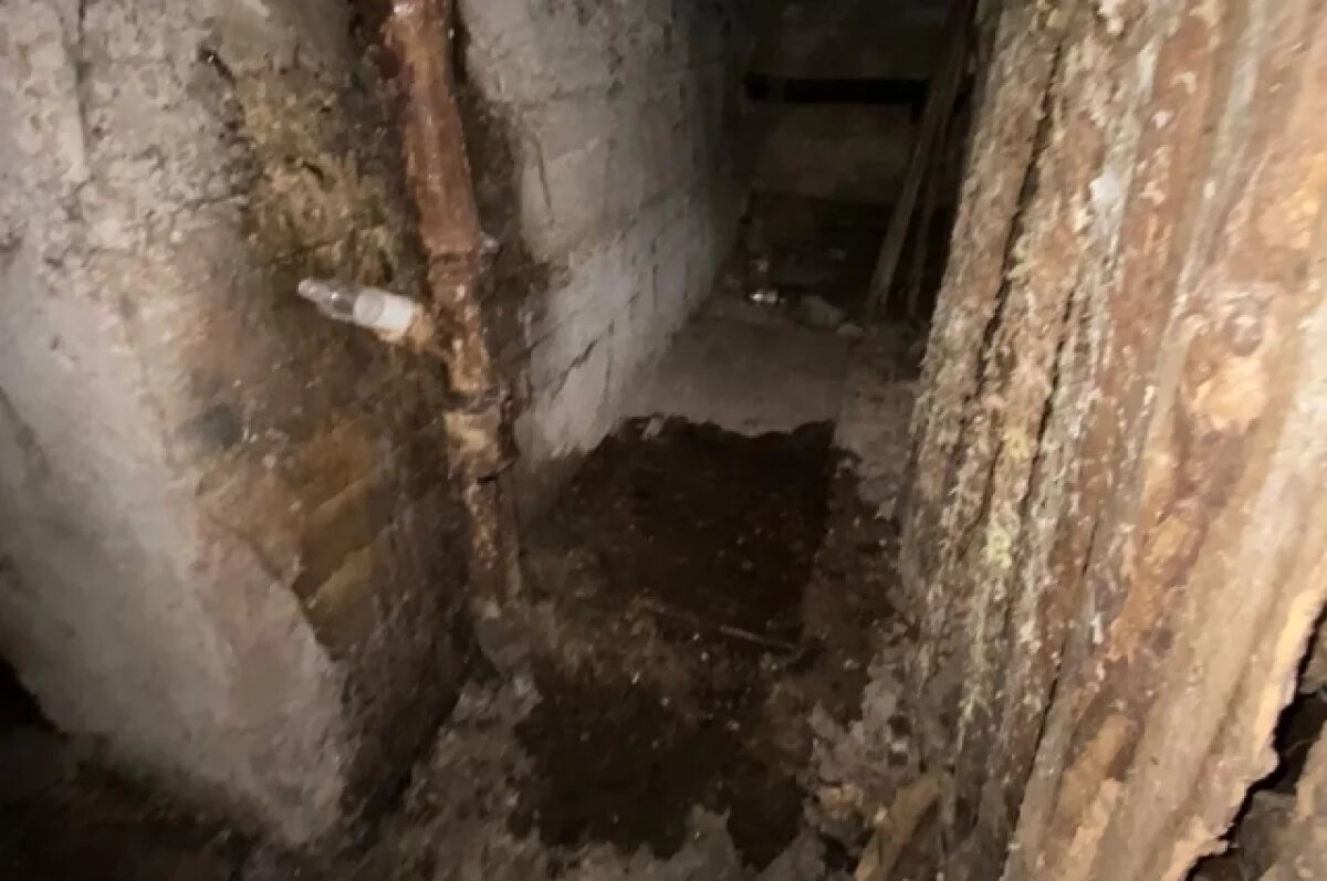    Жители Перми обнаружили кровь и неизвестные останки в подвале жилого дома