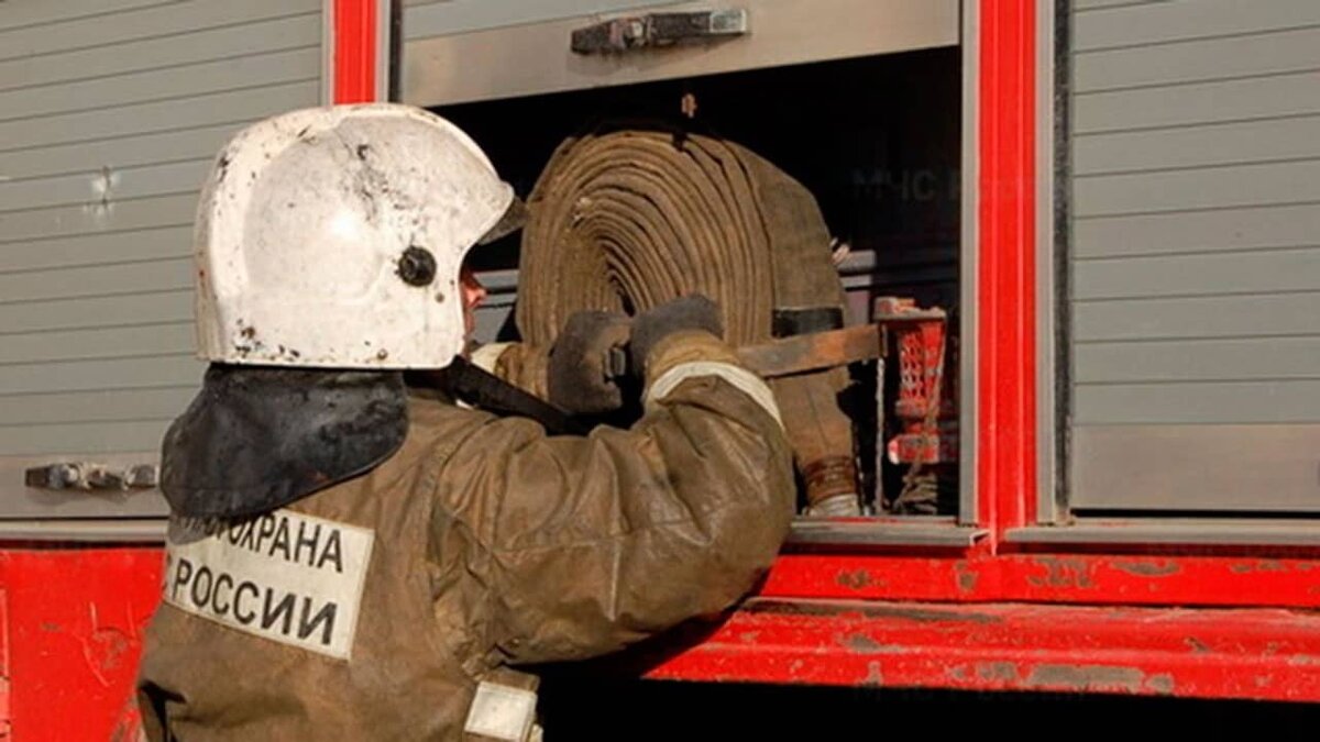 Фото: https://tvzvezda.ru/ (https://mcdn.tvzvezda.ru/storage/news_other_images/2024/03/31/7bd2732426e040b1ae743a32133be488.jpg) 