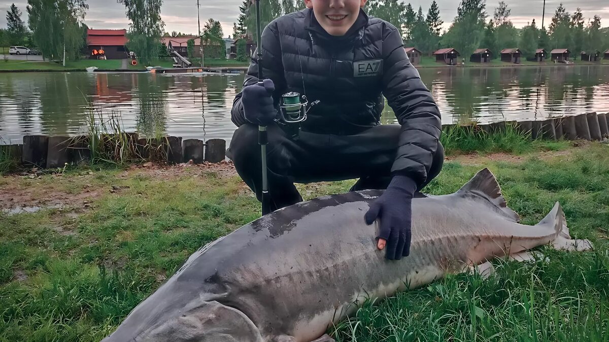     Источник: Соцсети