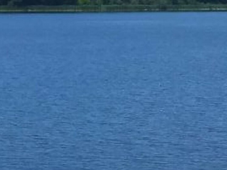     Фото: архив "МК в Калуге"