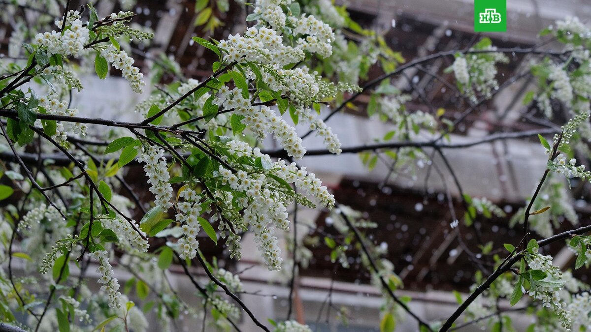    Фото: РИА Новости © 2024, Наталья Селиверстова