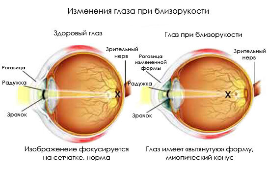Добавьте описание