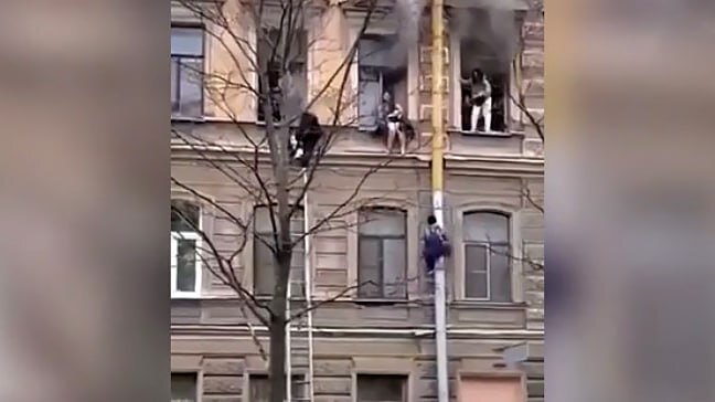 Фото: скриншот видео