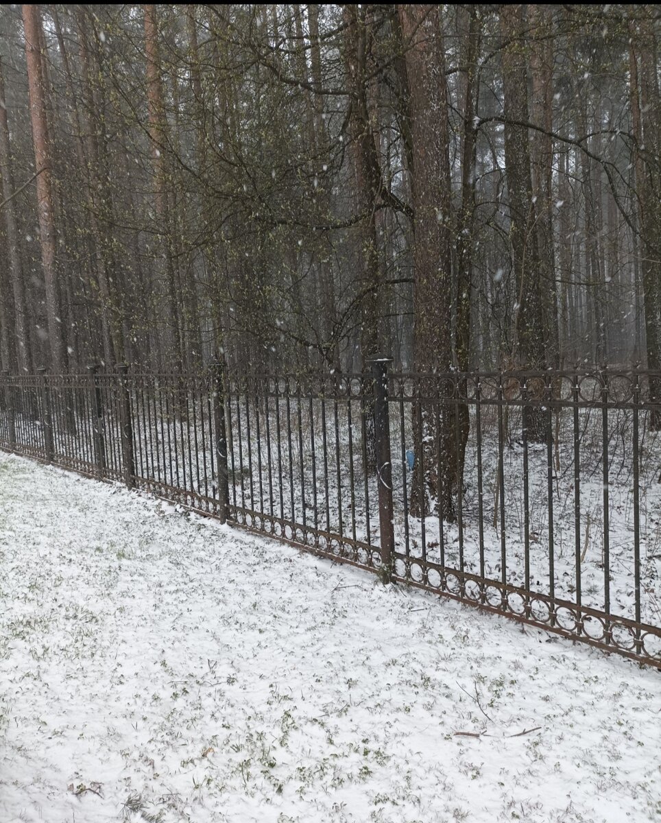 Как раз в Питере в тот день выпал снег