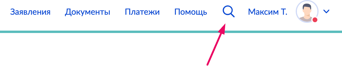 Перейти в поиск внутри Госуслуг.