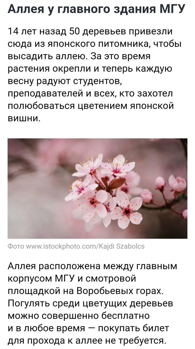 фото из открытых источников