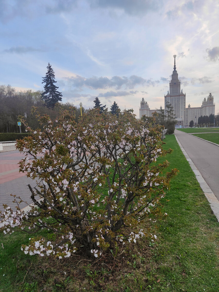 фото автора Елены М.