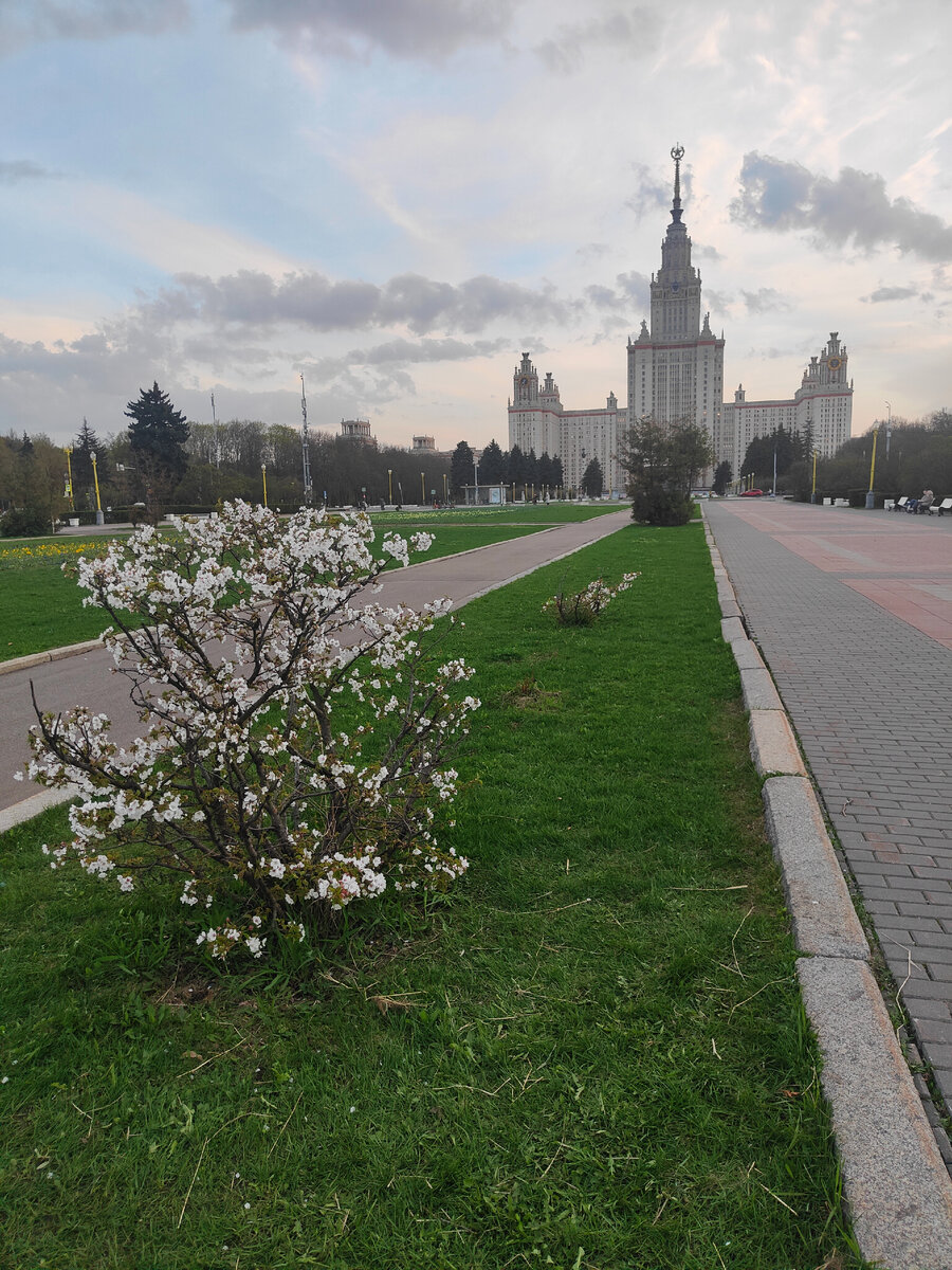 фото автора Елены М.