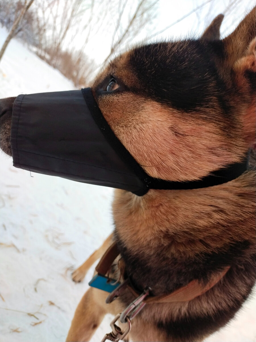 Аки в гражданской амуниции 