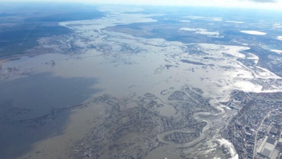    Врио главы пострадавшего от паводка Кургана уволилась Анастасия Романова