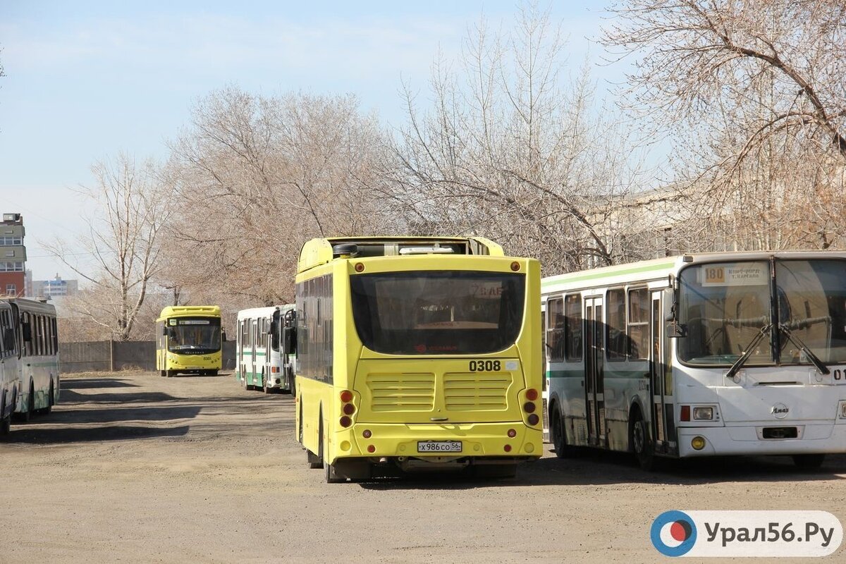 Маршрут дачных автобусов в оренбурге на 2024г. Автобус Оренбург. МКП Оренбургские пассажирские перевозки. Оренбургский автобус. Модернизация пассажирского транспорта.