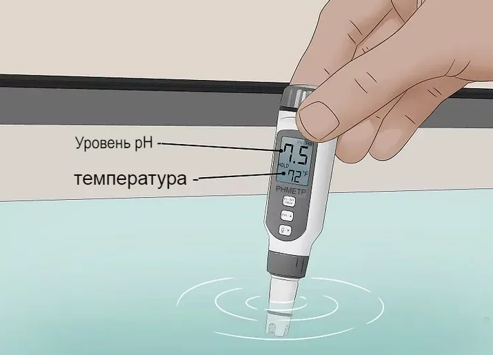 Пошаговая инструкция по разведению рыбы и созданию искусственного пруда