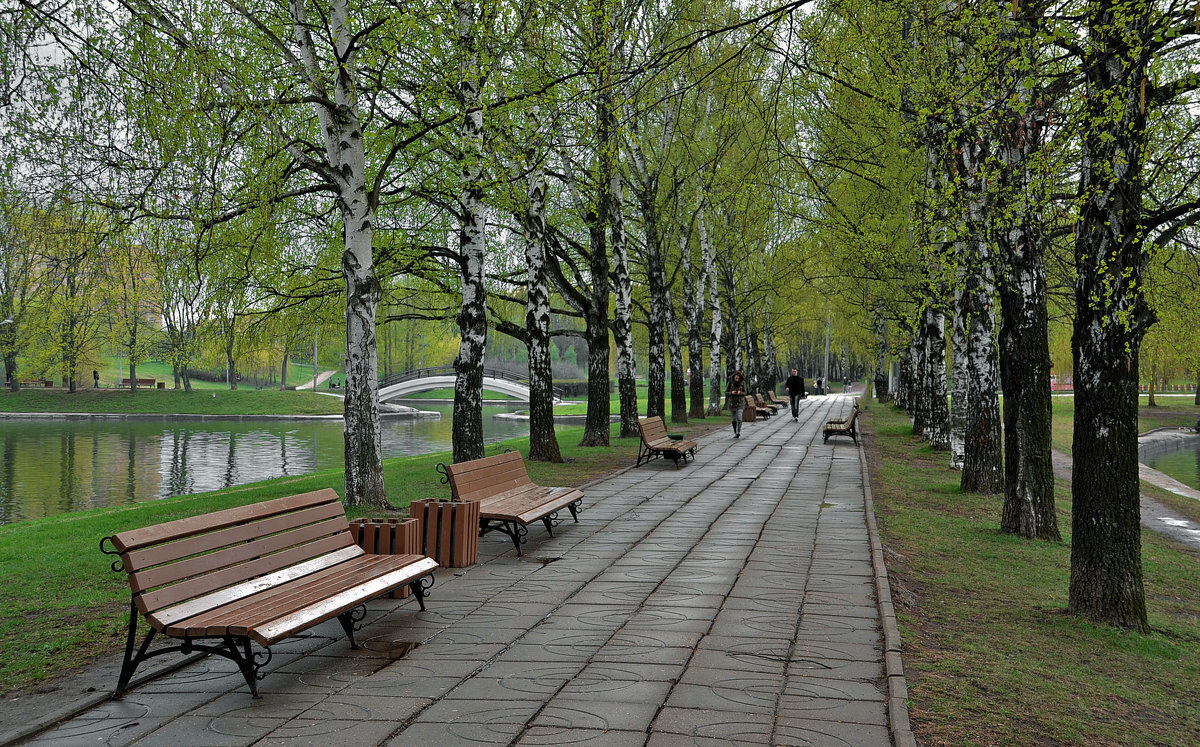 Фото из открытого источника