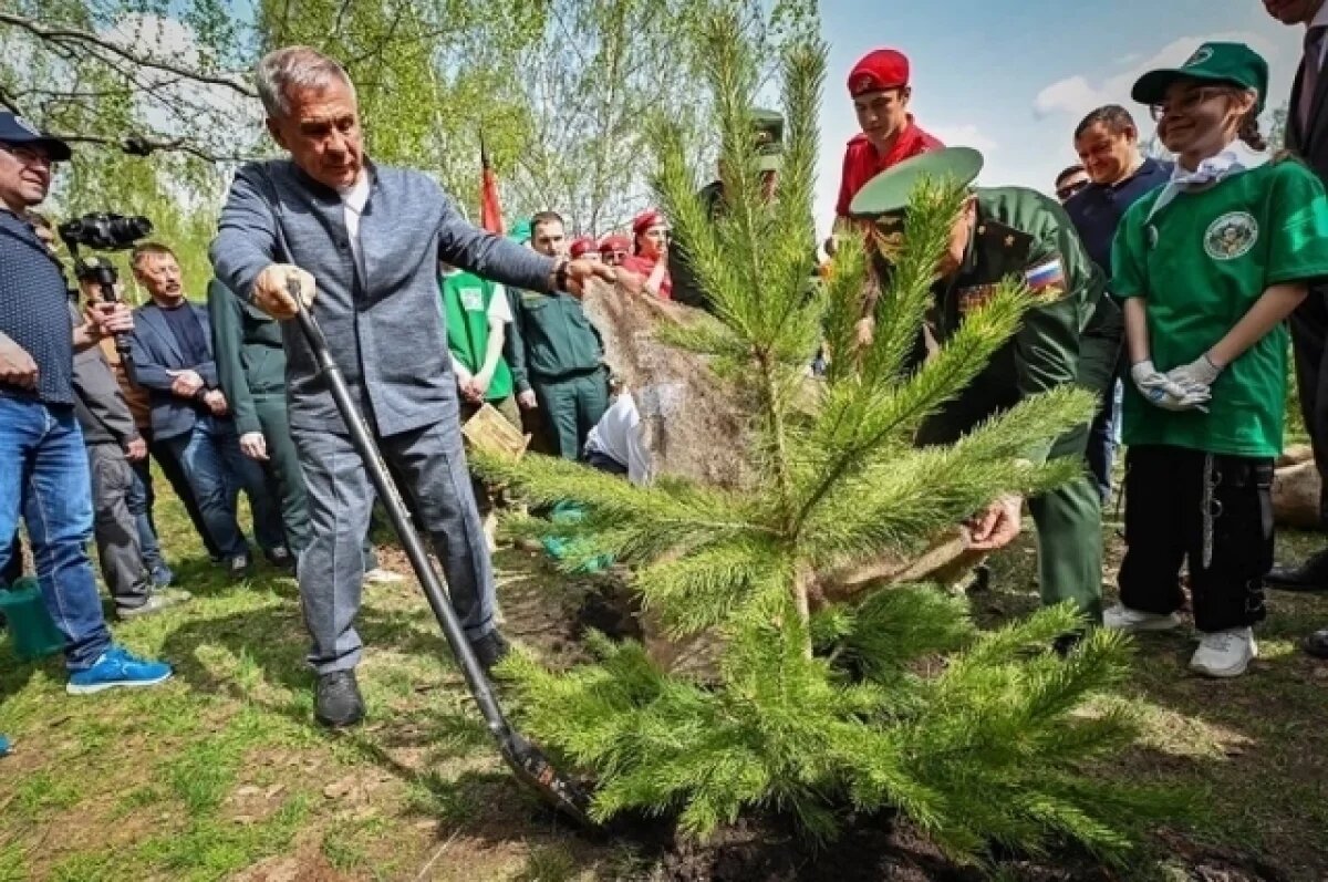    Минниханов посадил дерево на республиканском субботнике