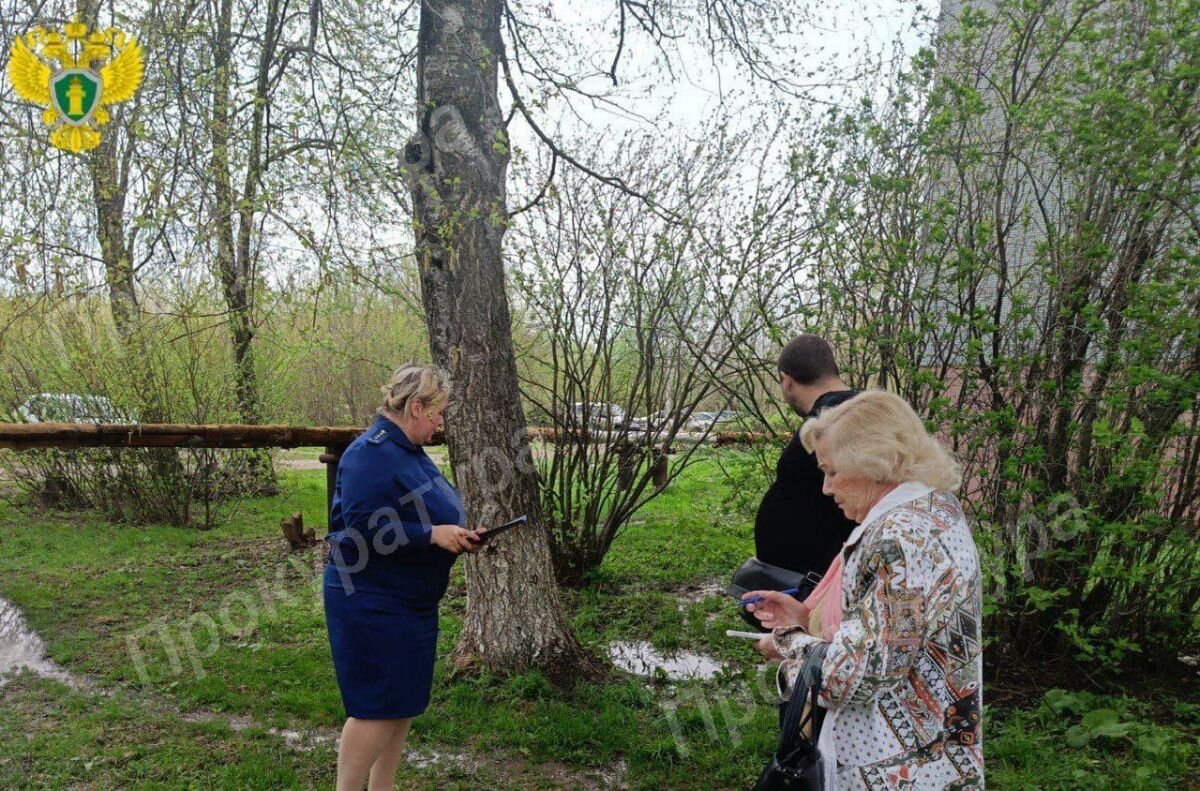 Прокуратура Донского начала проверку утечки канализации на рельеф из  смотрового колодца | «Тульские новости» | Дзен