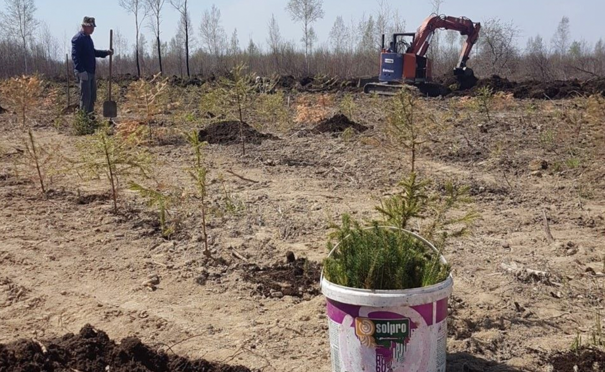 Программа «Гектар» в Еврейской автономной области: успешные кейсы | Дальний  Восток и Арктика | Дзен