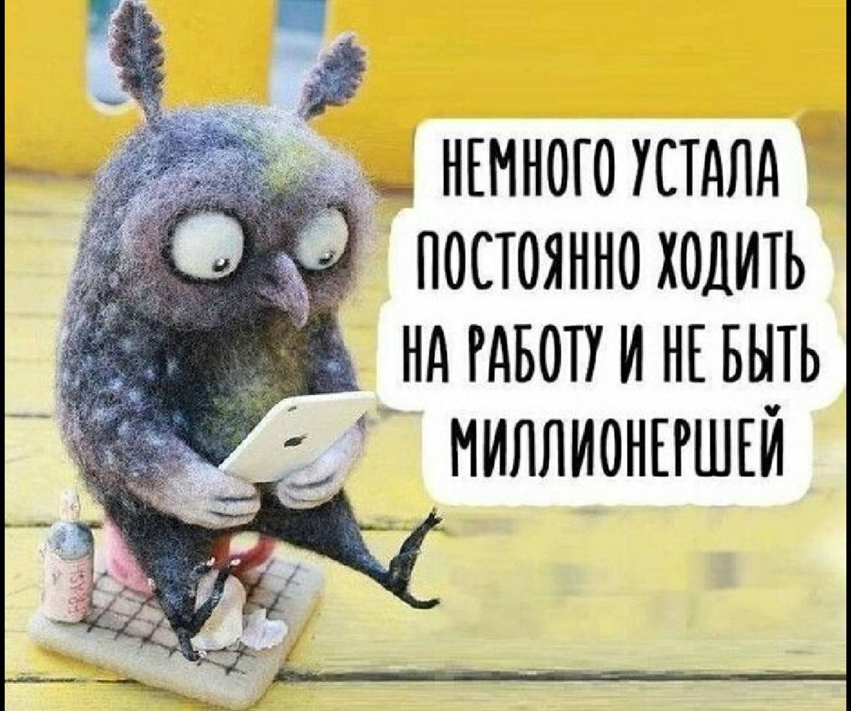 Источник картинки - pushinka.top. Найдено на просторах интернета. 