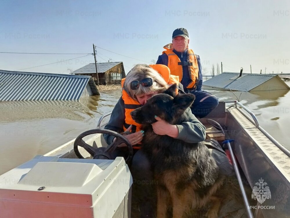    Фото: ГУ МЧС 