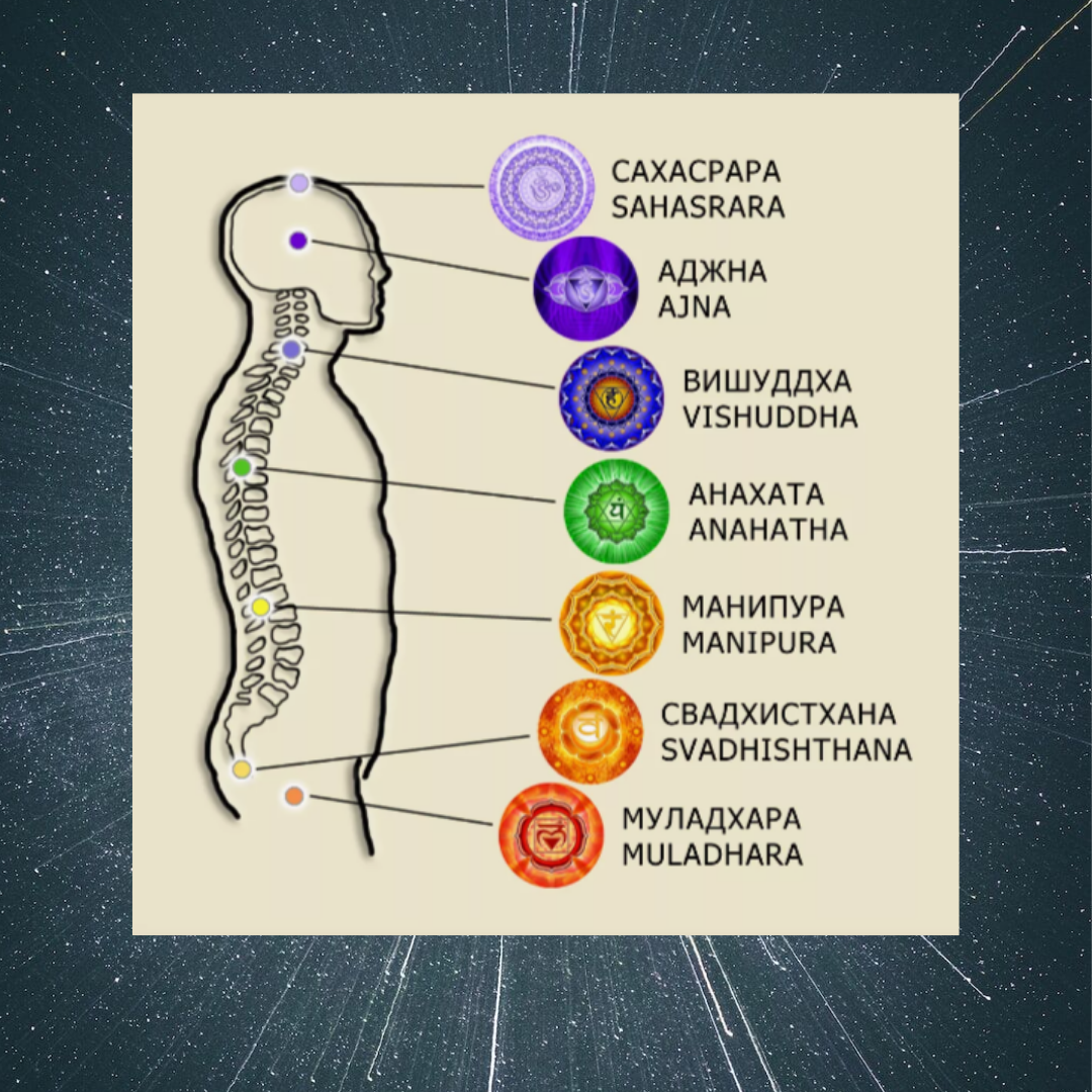 Стройное тело и холеный вид, какие чакры прокачены при этом. | Клавдия  Князева | Дзен