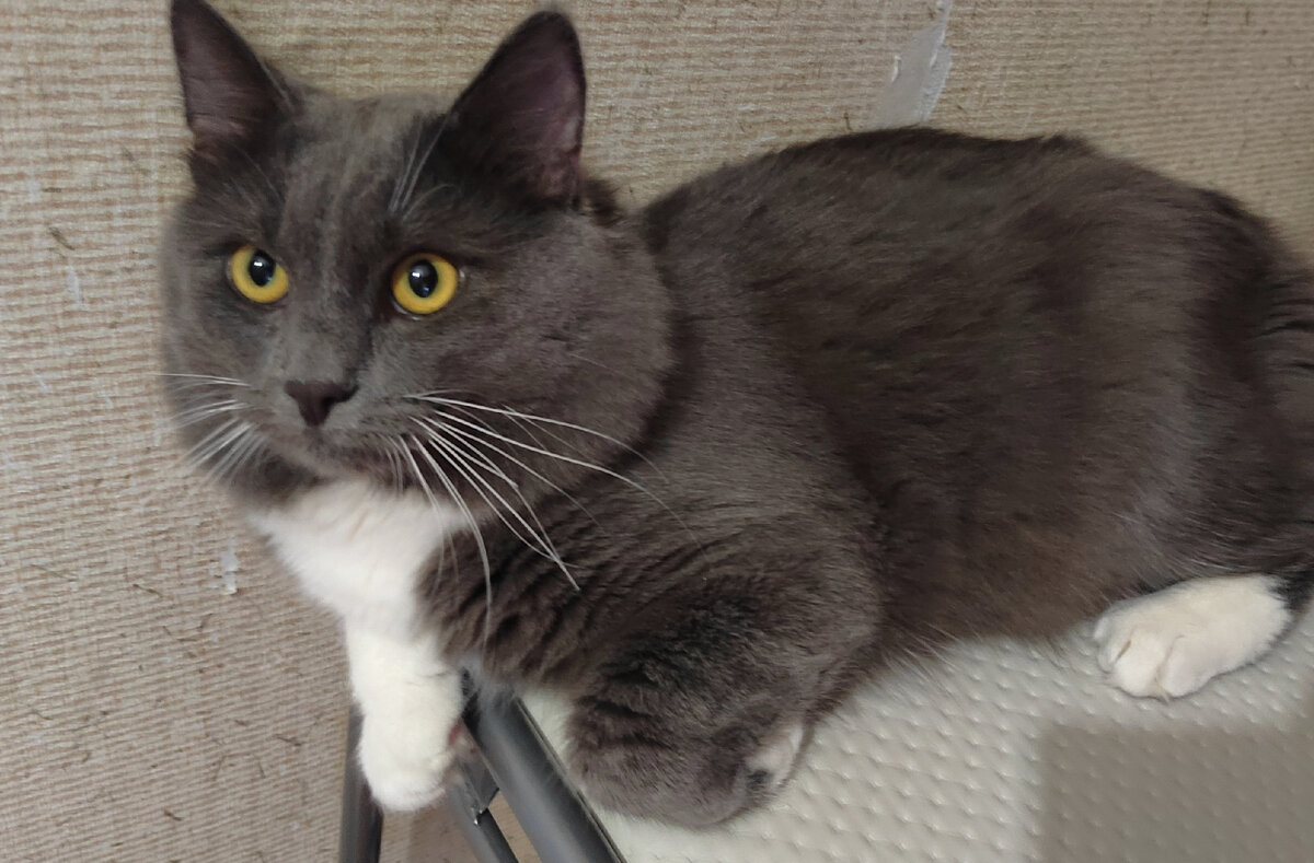 Фото автора канала.