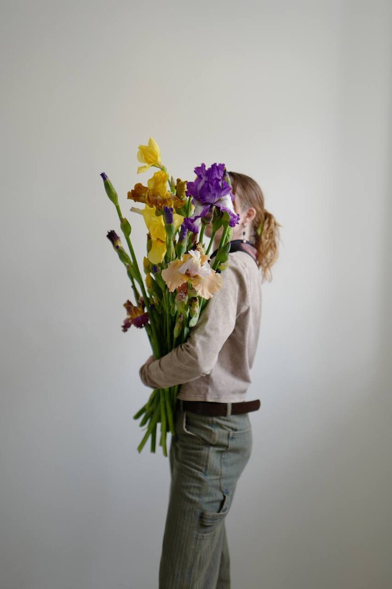    ИрисыLupine Flower Factory