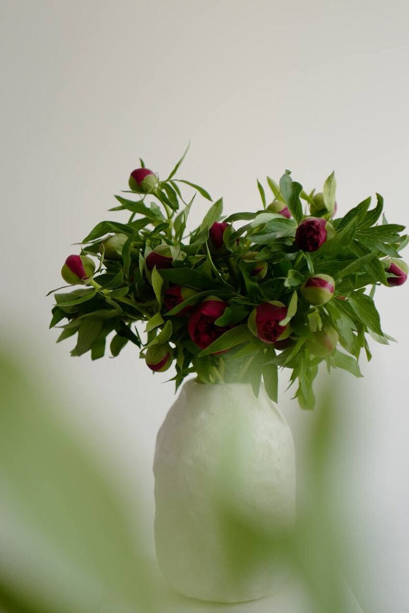    ПионыLupine Flower Factory