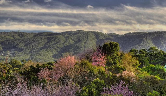 Каньоны Лайтлум. Фото: savaari.com