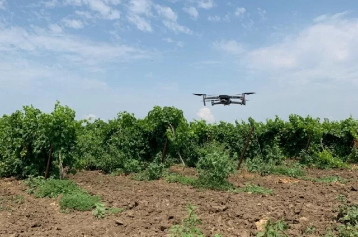    Созданный в Туле универсальный FPV-ретранслятор применяют в зоне СВО