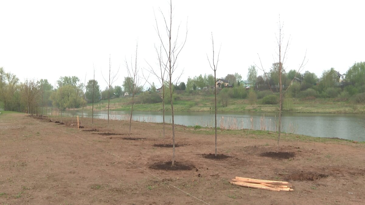    В Иванове появилась Аллея десантников