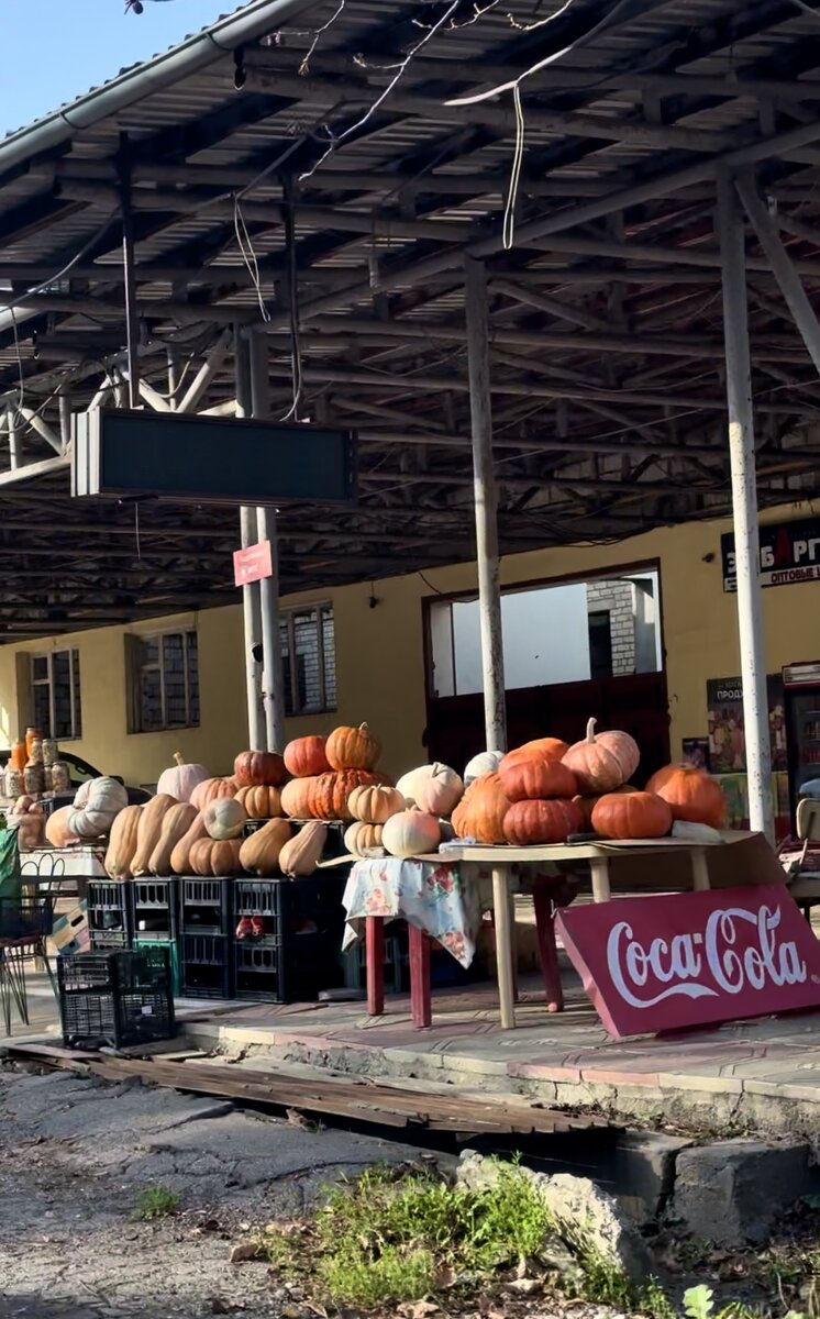 Встретили очень много таких «торговых точек»😂