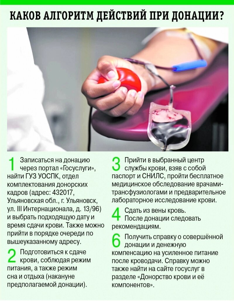    Фото:  АиФ/ Дания ЕРШОВА