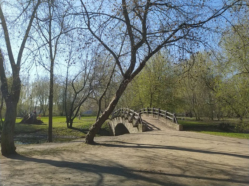Мостик в парке. Фото автора