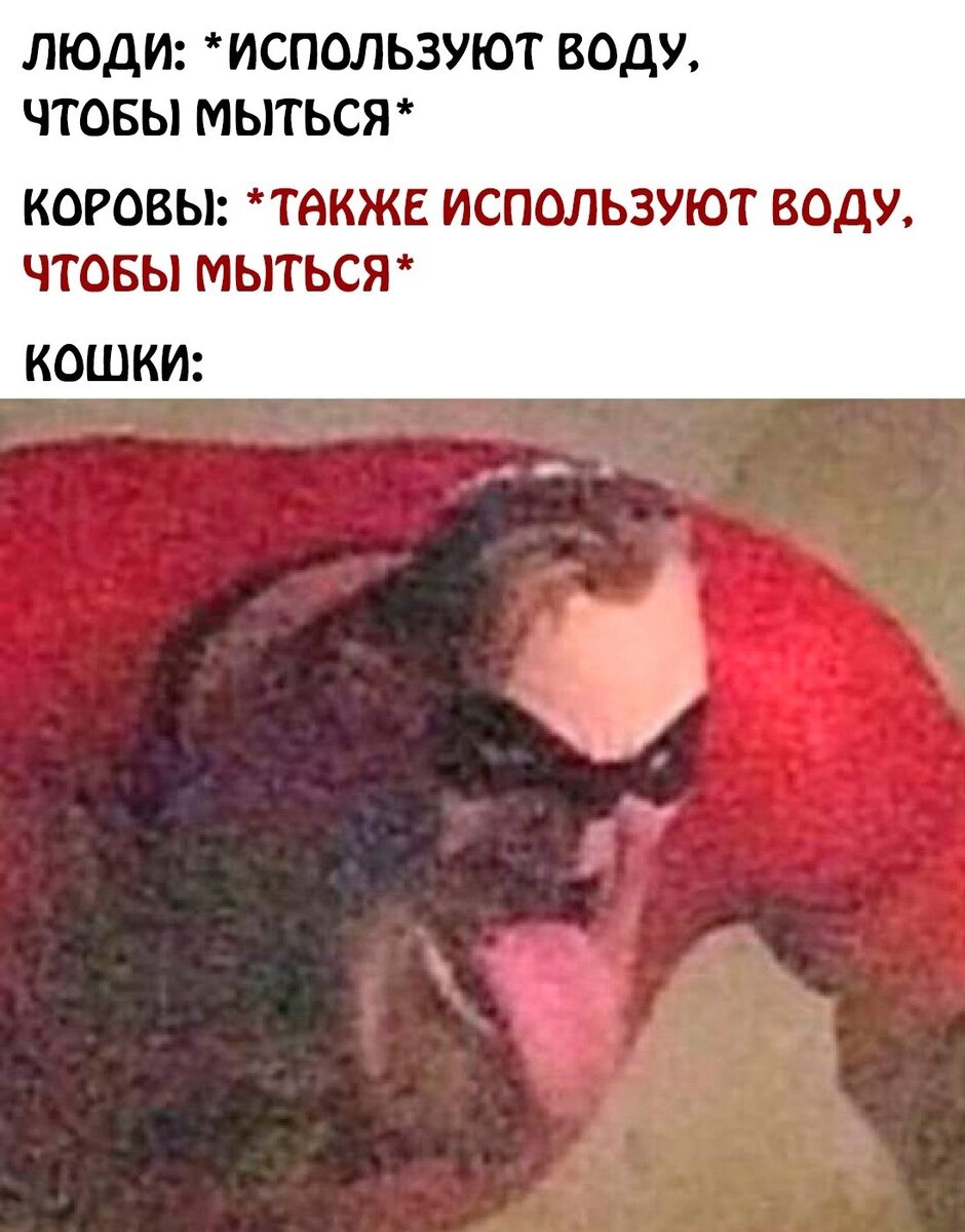 Всегда так 