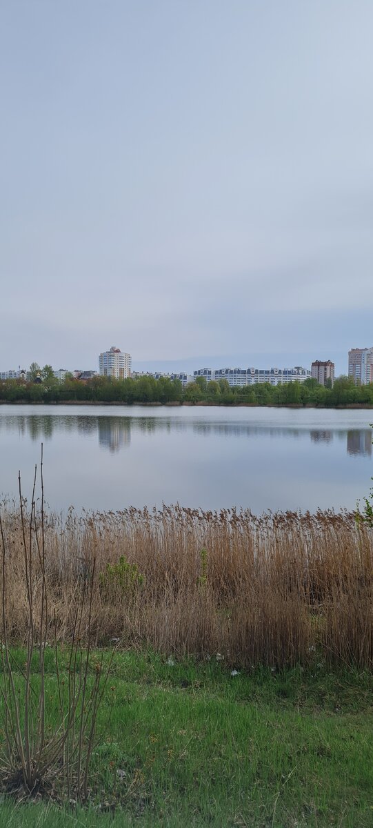 В каждом доме городов и сёл свои страсти... Фото автора.
