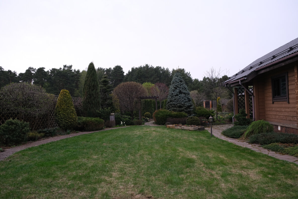 Общий вид сада