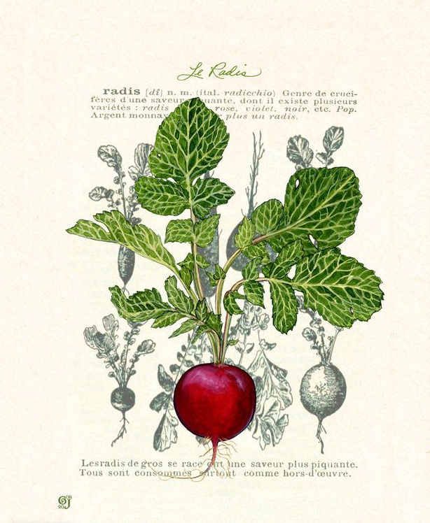 Пин – https://pin.it/6PhMAGpaY