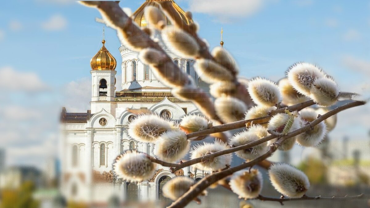 фото коллаж  вербное воскресение