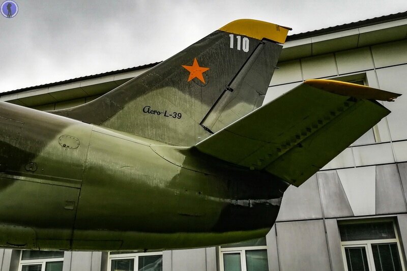-31