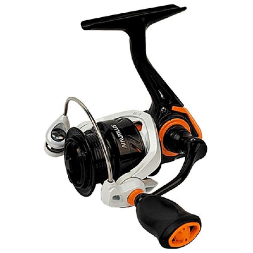 Nautilus Land Winter 800