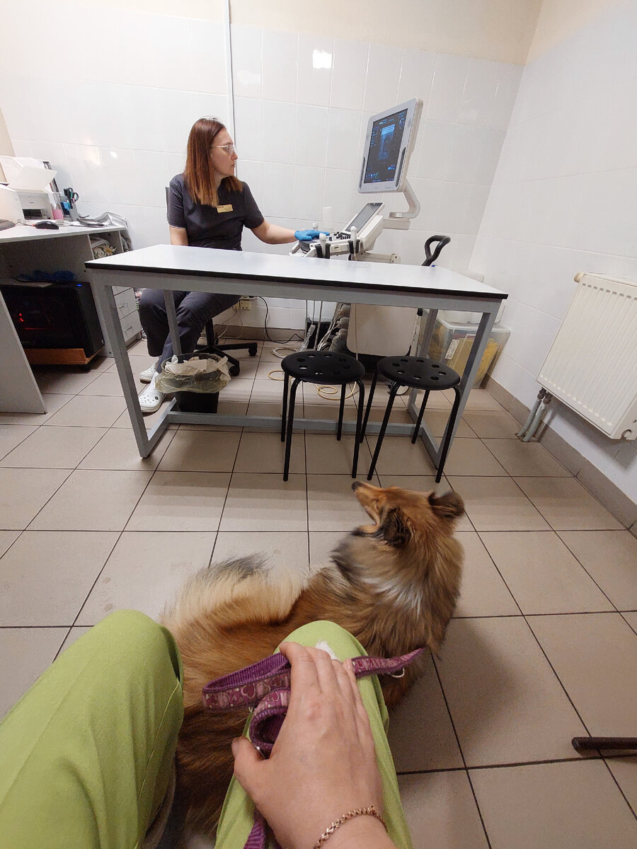 Мы с Ирмой ожидаем, пока врач УЗИ напишет нам заключение по результатам обследования 