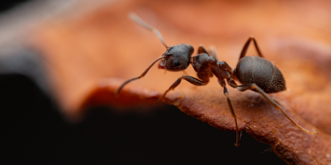Небольшая статья о судьбе канала