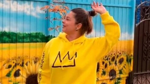 В-третьих, забор с внутренней стороны разрисован продолжительной единой картиной на которой изображено подсолнуховое поле, которое плавно переходит в небесную синь.