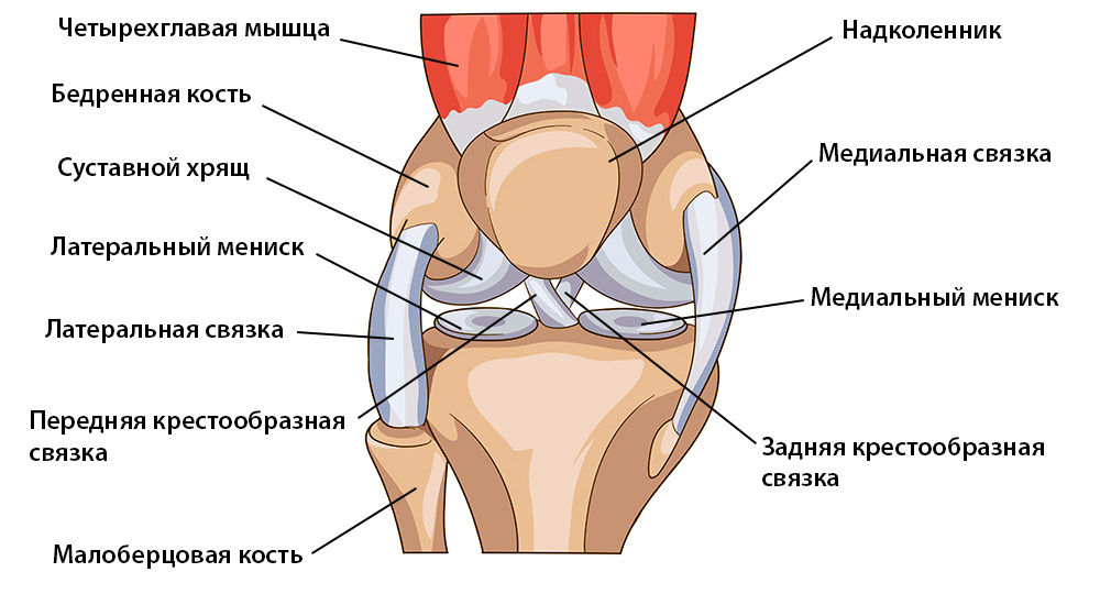 Как укрепить колено?