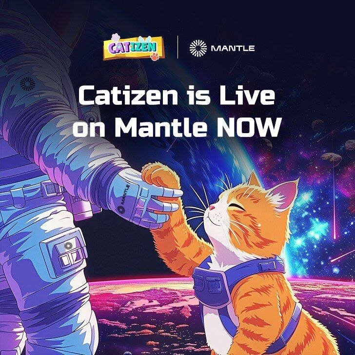 Catizen.ai 