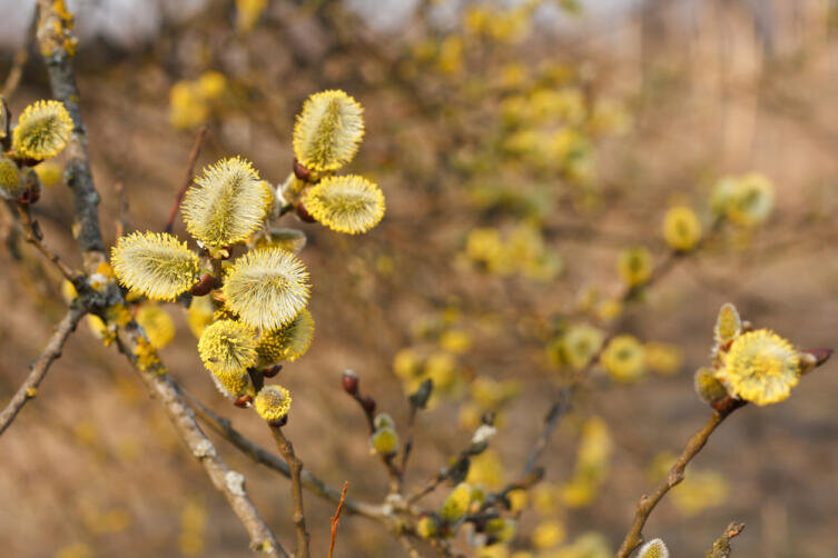    Фото: Depositphotos