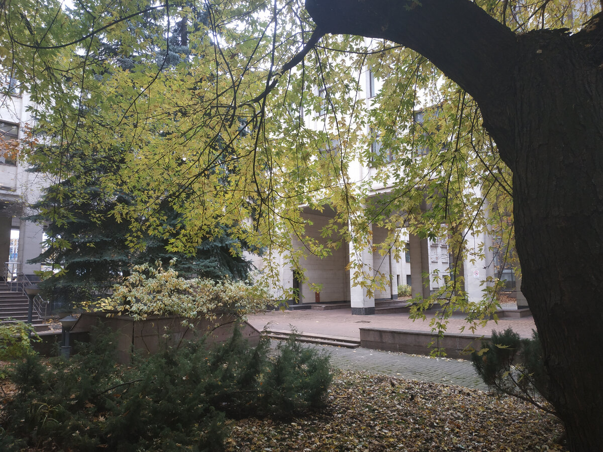 Это один из двориков на территории кампуса РАНХиГС - место моей последней подработки, 2021 год.