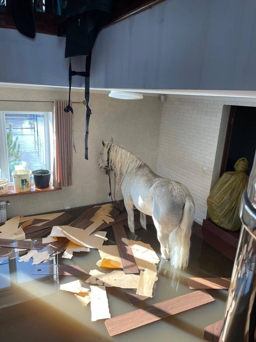 Фото: Оренбург Онлайн