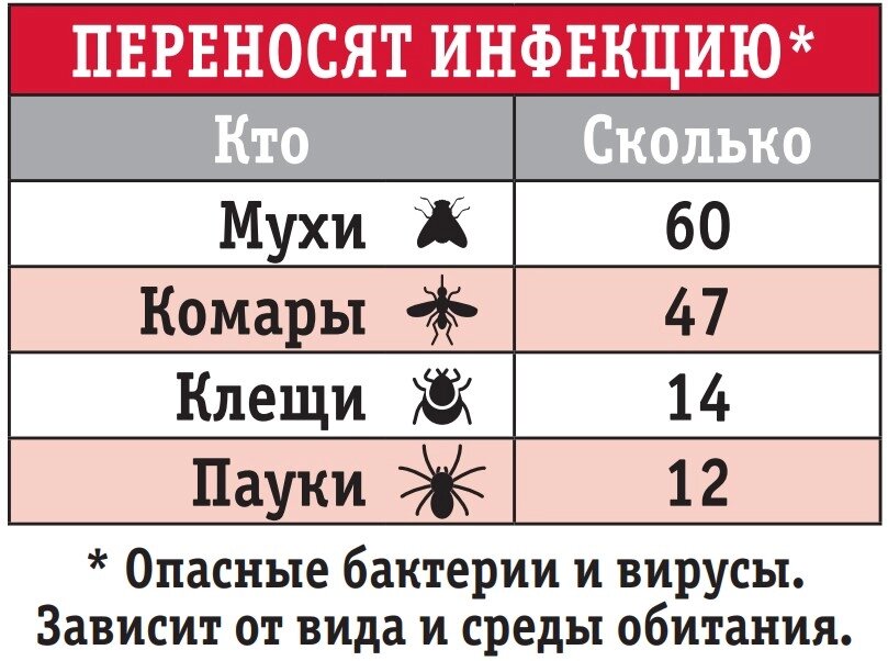 Можно ли подхватить инфекцию в общественном туалете